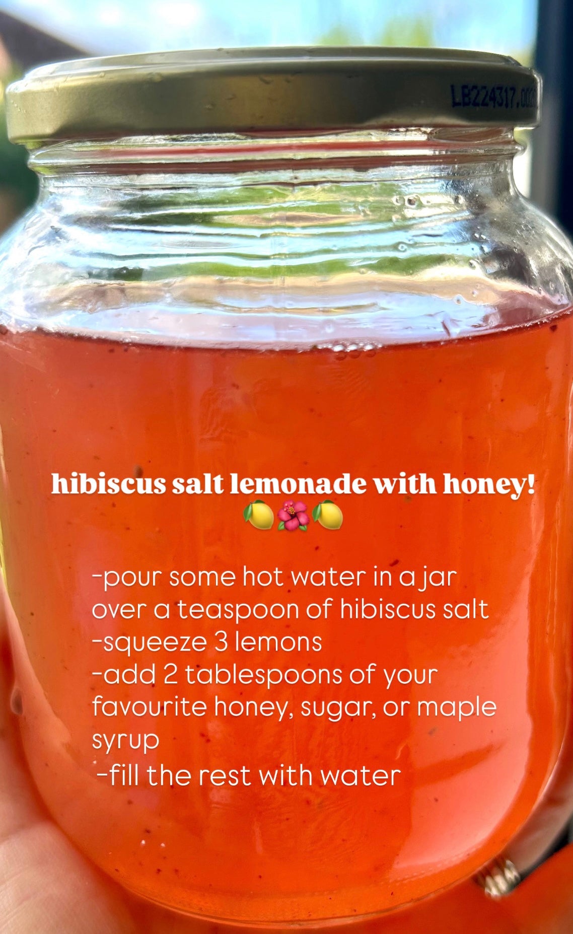 Hibiscus Salt with a hint of 🍋