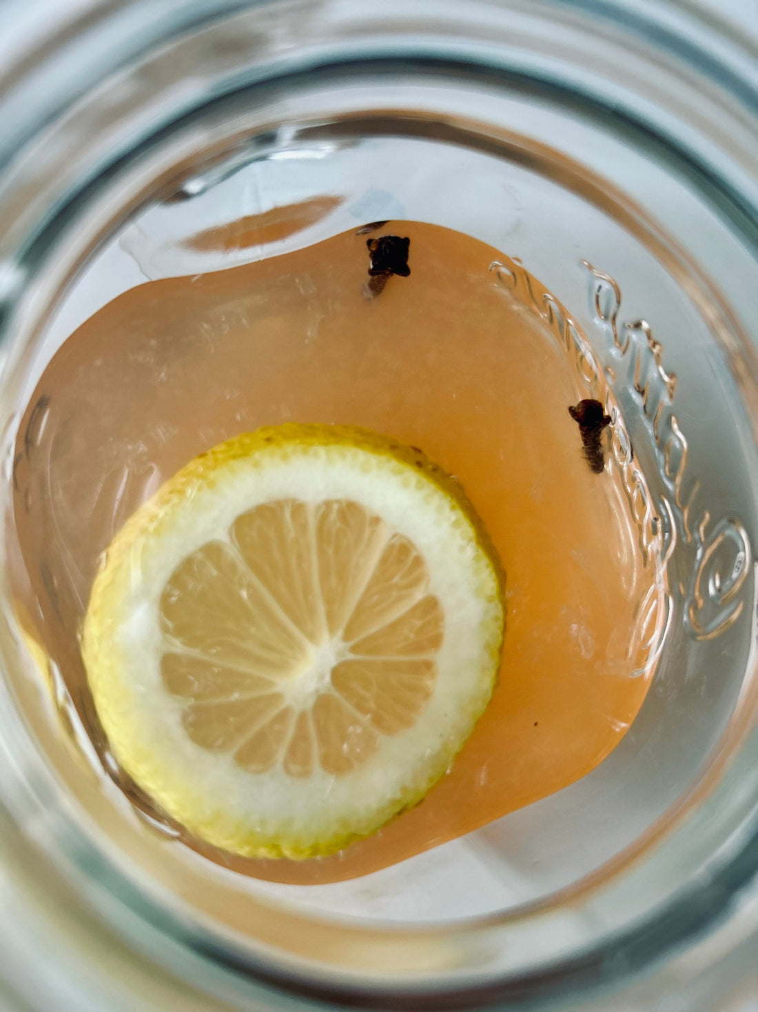 Floaty Goat Hibiscus Hot Toddy