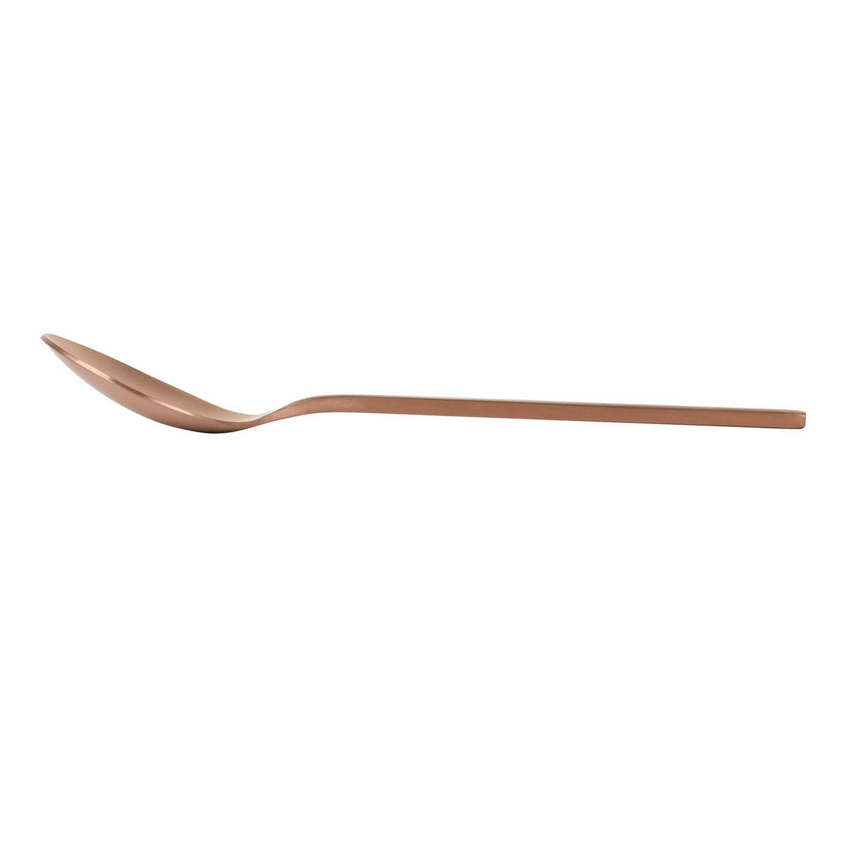 Stainless Steel Dessert Spoon - 30cm