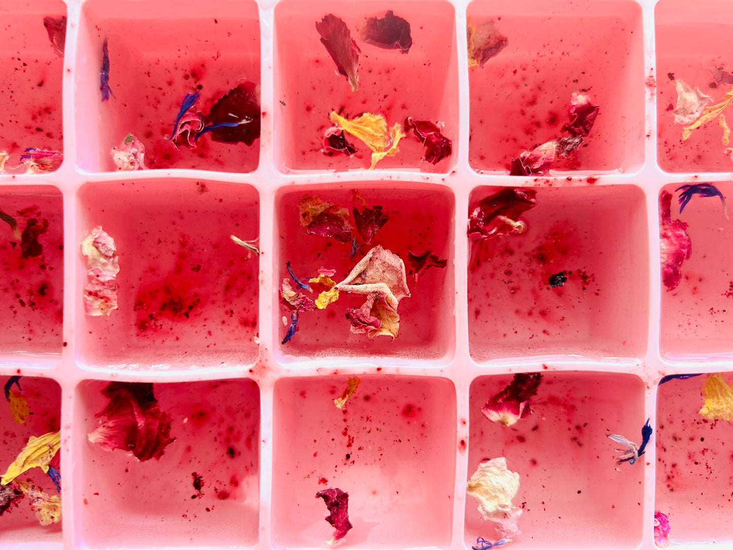 Hibiscus Salt with a hint of 🍋