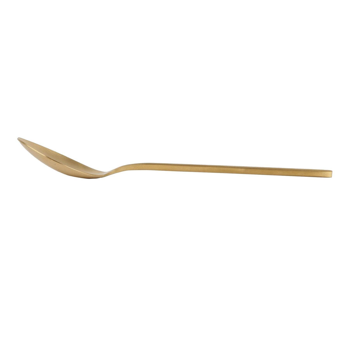 Stainless Steel Dessert Spoon - 30cm