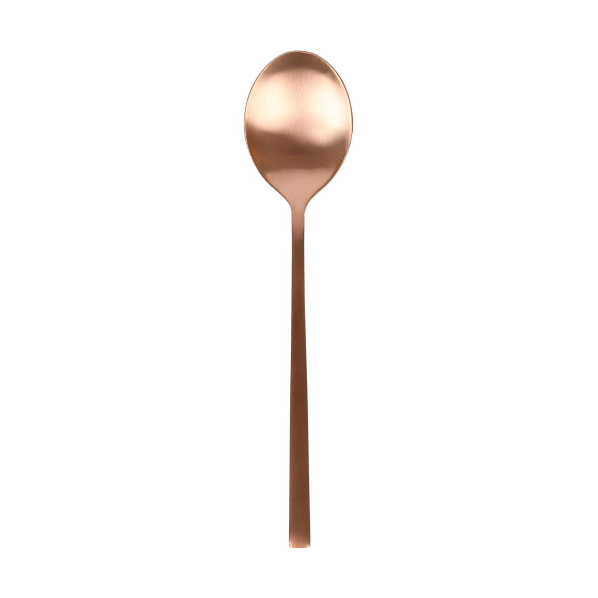 Stainless Steel Dessert Spoon - 30cm