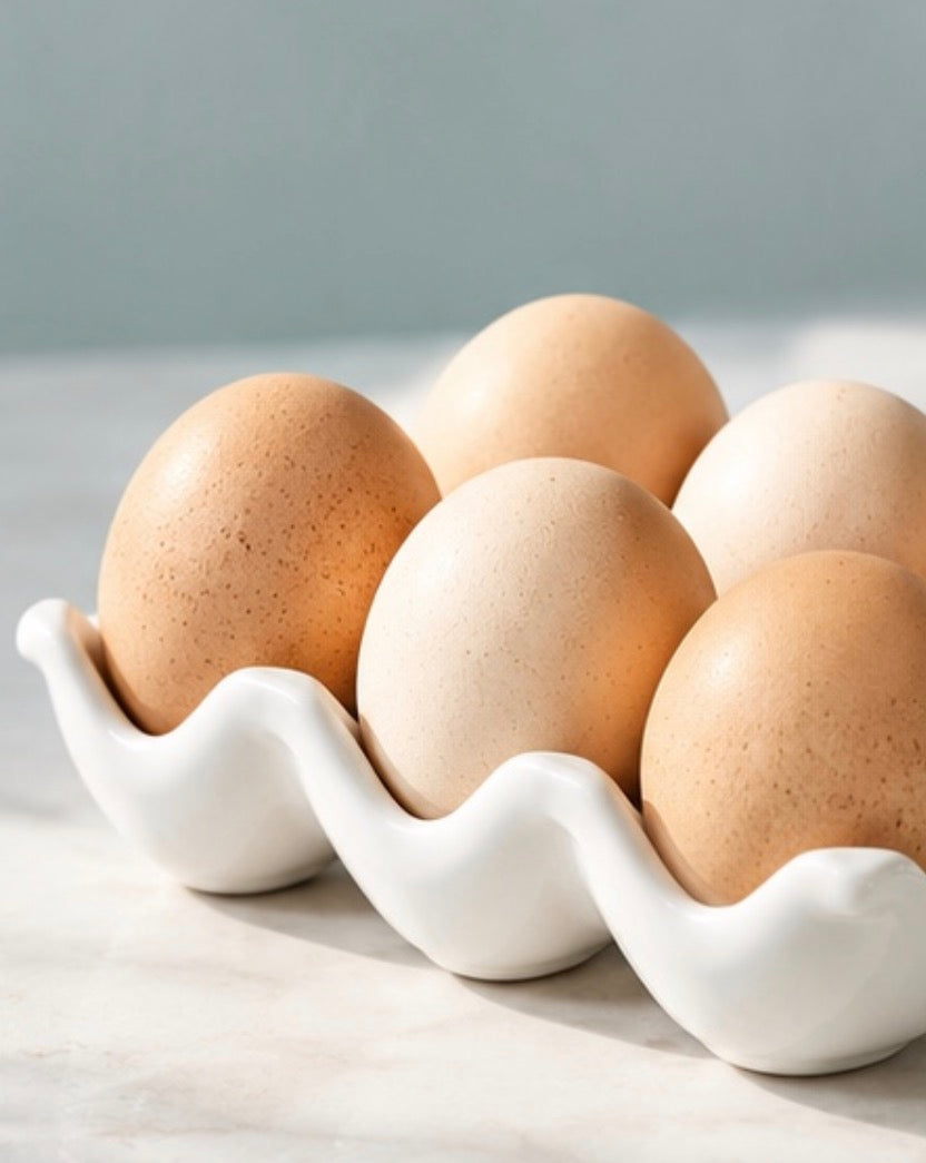Ceramic 6 Egg Holder - White
