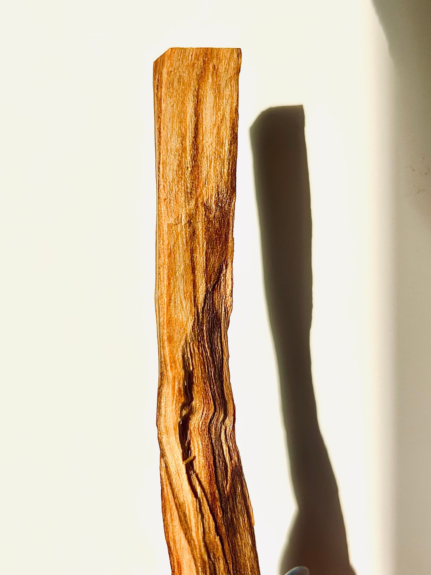 Palo Santo Heartwood - Natural Incense Sticks