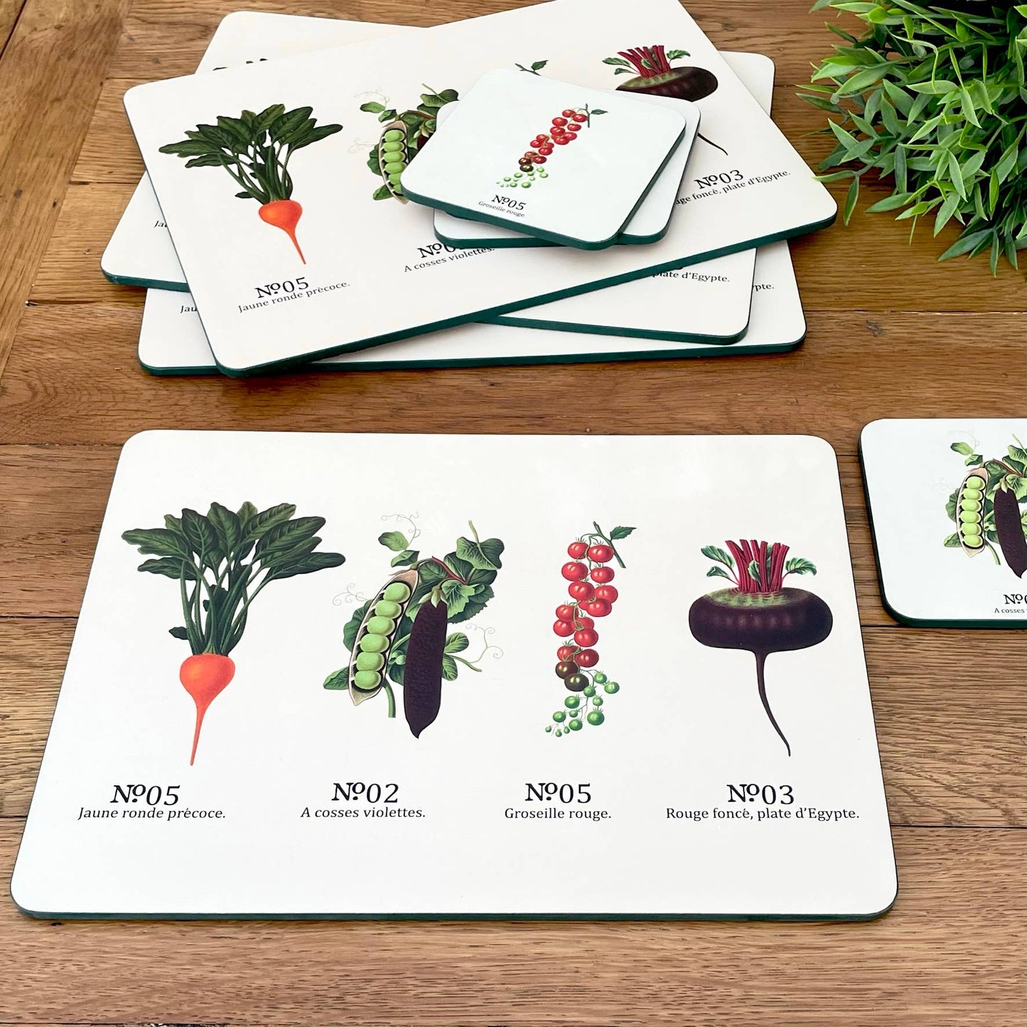 Royal Horticultural Society Coasters - Set of 4
