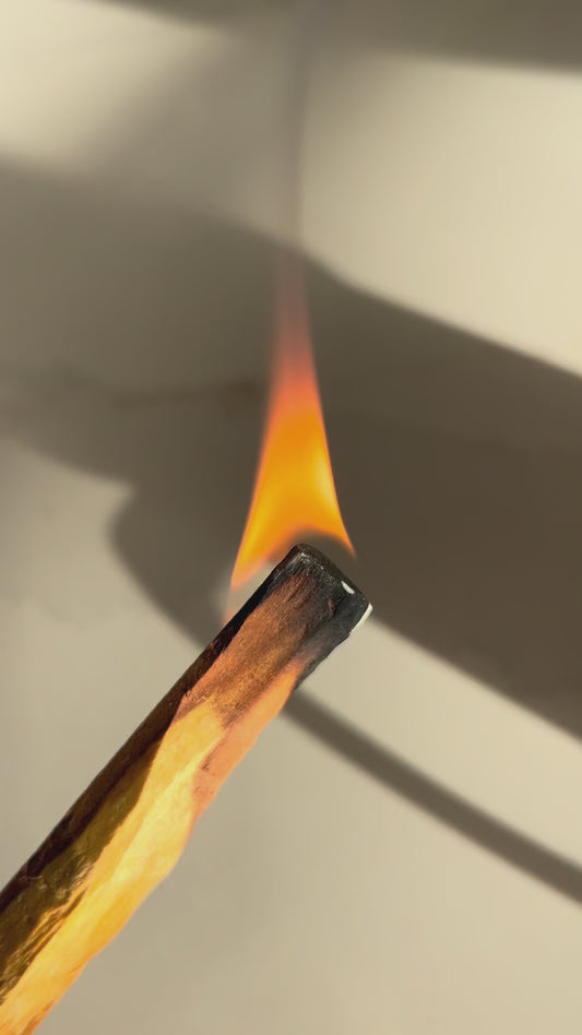 Palo Santo Heartwood - Natural Incense Sticks